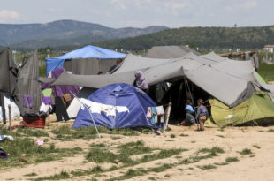 migranti