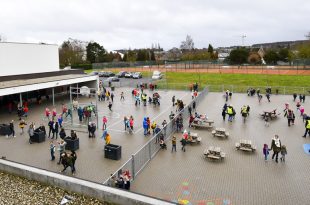 skola