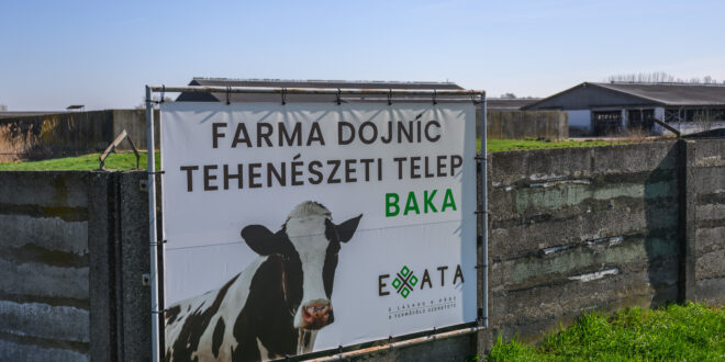 Slintačka a krívačka