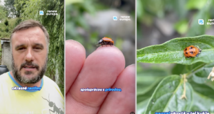 Michal Wiezik, europoslanec /PS, RE/. PHOTO: FB MW.